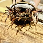 温石 - わぁ、撮影せずにはいられません。