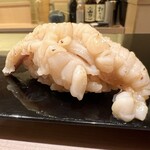 鮨 竜太 - おまかせコース