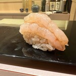 鮨 竜太 - おまかせコース