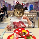 ウィッシュ カフェ - 