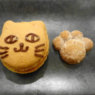 ねこまる茶房_1