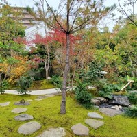 Auberge TOKITO - 