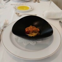 Pigeon - 