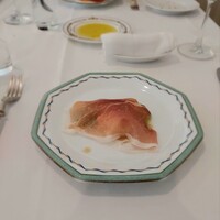 Pigeon - 