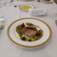 Pigeon - 