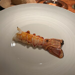 蒼 - さかな人長谷川さんより
      　長井の赤座海老　ビスクとともに