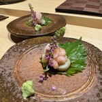 博多 鮨 桃の木 - 