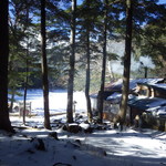 しらびそ小屋 - ミドリ池と小屋