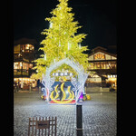 228344264 - Christmas tree  of  YUBATAKE spring  byまみこまみこ