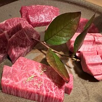 日本焼肉 はせ川 銀座店 - 