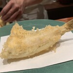 江戸前晋作 - 鱚