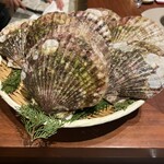 スガラボヴィー - 大きい！