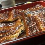 炭焼うなぎ あおいや - 