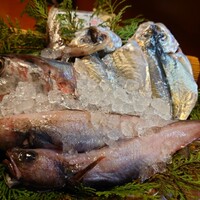 魚めし 竹亭 - オススメのお魚紹介