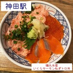 Isomaru Suisan - いくらサーモンネギトロ丼