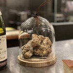 イル アオヤマ - 