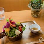 珈琲 mou - サラダ
