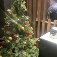 マーサーブランチ テラスハウス - 