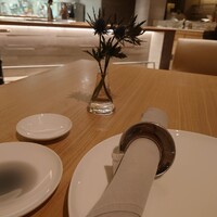 SCALAE - 