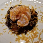 フォリオリーナ・デッラ・ポルタ・フォルトゥーナ - 