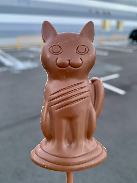 Precious sweets（プレシャス スイーツ） - 糸井（チョコレート）の写真