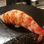 鮨と一品　いちかわ - 車海老