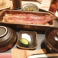 うなぎ四代目菊川 ミッドランドスクエア 名古屋本店 - 