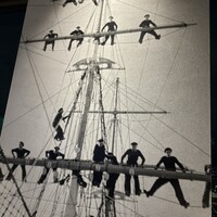 サンシャイン クルーズ・クルーズ - 