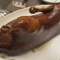 家寶 跳龍門 - 