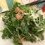 (楽)中華酒場 サンクスチャイナタウン - パクチーサラダ！