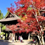 北海道スープカレー Suage - 新座平林寺
