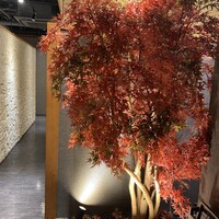 しゃぶしゃぶ 吟半 お台場店 - 高級感漂うお洒落な入口！