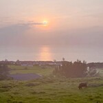 ミルミル本舗 - 