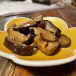 フォレスト商会 - 