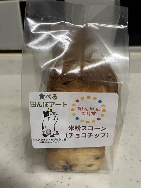 かんかんてらす - 鏡石（その他）の写真