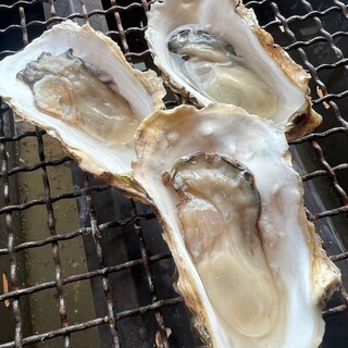 Limited time only! All-you-can-eat Oyster now available!