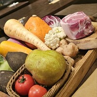 オッジ ダルマット 西麻布店 - 