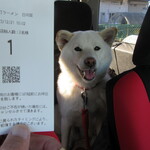 青竹手打ラーメン 日向屋 - 