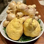 スガラボヴィー - 