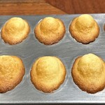 スガラボヴィー - 