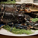 スガラボヴィー - 