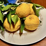 スガラボヴィー - 