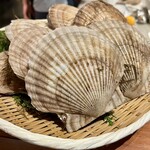 スガラボヴィー - 