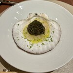 スガラボヴィー - 