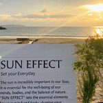 SUN EFFECT - 