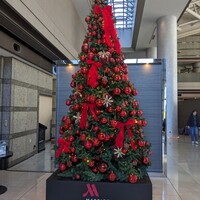 Lounge & Dining G - マリオットホテルのツリー