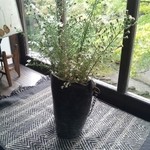 茶房 天井棧敷 - 