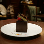 Cacaotier Gokan - 