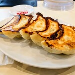 Hourai ken - 餃子
                
                皮は厚めもっちり、焼きめパリッと、
                通常の倍のボリュームで、
                餃子が真っ先に出てきた理由も納得
                この量を食べるには、かなり時間を要します。
                通常の倍のボリュームで、価格設定も納得です。