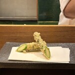 天 よこた - アスパラ